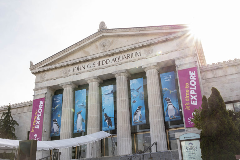 Shedd Aquarium (Photo Credit: Brenna Hernandez)