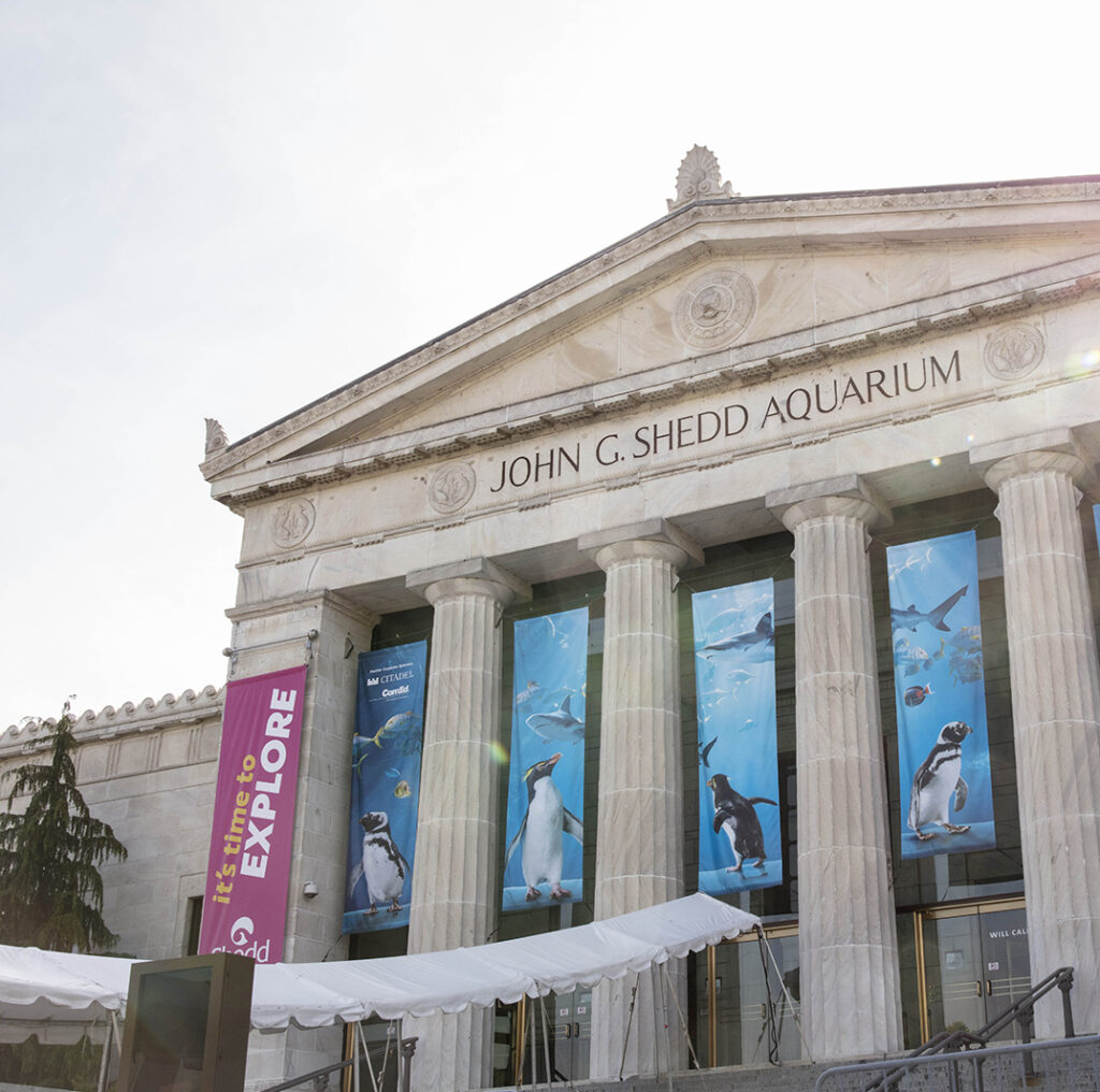 Shedd Aquarium (Photo Credit: Brenna Hernandez)